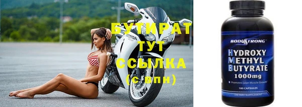 твердый Гатчина