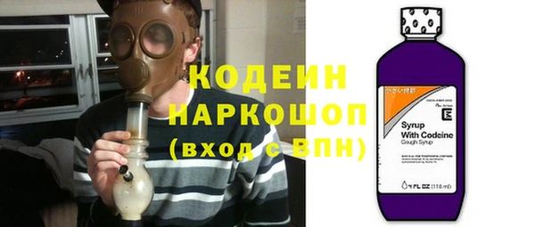 твердый Гатчина